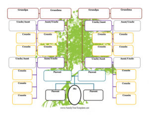 Free Family Tree Template  Printable Blank Family Tree Chart