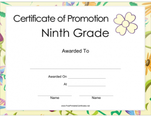 Promotion_Grade_9_Certificate